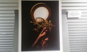 Exposición fotográfica Premio