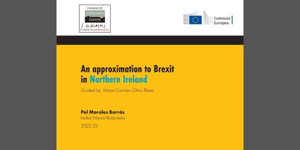 An approximation to Brexit in Northern Ireland