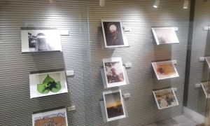 Exposición fotográfica Premio