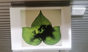 Exposición fotográfica Premio