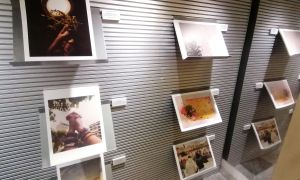 Exposición fotográfica Premio