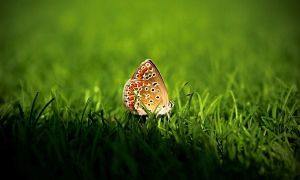 We already have the winners of the prize