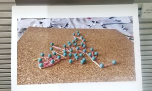 Exposición fotográfica Premio